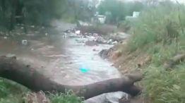 basural-arguello