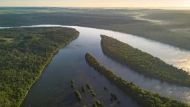 La iniciativa propone un sistema de corredores biológicos donde la producción humana conviva en armonía con el desarrollo de la fauna silvestre.
