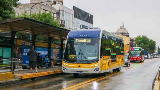 Avanza el Trambus: la avenida Rivadavia sumó carriles exclusivos para colectivos desde este martes 29