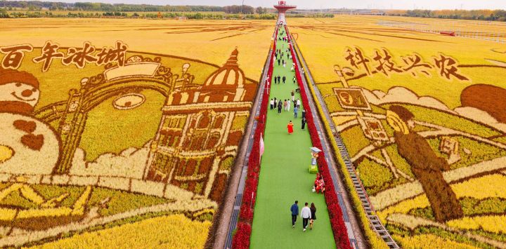Personas visitan obras de arte en los arrozales durante un evento que celebra el noveno Festival de la Cosecha de los Agricultores Chinos en una granja del Grupo Beidahuang, en la provincia de Heilongjiang, en el noreste de China.