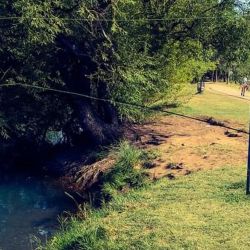Durante mucho tiempo, la carpa tuvo mala fama entre los pescadores. Sin embargo, esa mirada comenzó a cambiar y hoy suma cada vez más aficionados. 