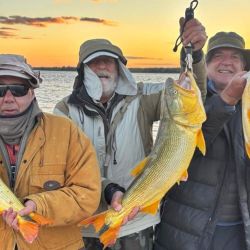 En Florencia, la pesca de dorados está atravesando un muy buen momento, mientras que durante los últimos días también se obtuvieron algunos surubíes de muy buen porte.