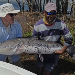 En Florencia, la pesca de dorados está atravesando un muy buen momento, mientras que durante los últimos días también se obtuvieron algunos surubíes de muy buen porte.