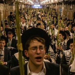 Hombres judíos ortodoxos rezan frente a la puerta de Bab al-Qattanin (de los Mercaderes de Algodón) del recinto de Al-Aqsa durante las oraciones matutinas de Sucot —la Fiesta de las Cabañas— en la Ciudad Vieja de Jerusalén. Cada año, miles de judíos peregrinan a Jerusalén durante la festividad de la cosecha de Sucot, que dura una semana y conmemora, según la tradición judía, el peregrinaje de los israelitas por el desierto tras el éxodo bíblico. | Foto:JOHN WESSELS / AFP