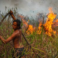 Un residente local arrastra una manguera contra incendios a través de hierba alta y turba densa mientras ayuda a combatir un incendio forestal descontrolado en Ogan Ilir, provincia de Sumatra Meridional, Indonesia. La escasa visibilidad causada por los persistentes incendios forestales ha obstaculizado tanto el tráfico aéreo comercial como las operaciones aéreas de extinción de incendios en toda la provincia. | Foto:AL ZULKIFLI / AFP