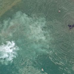 Vista aérea de una embarcación remolcando la cría muerta de una ballena franca austral en Puerto Madryn, Chubut, Argentina. | Foto:MAXI JONAS / AFP