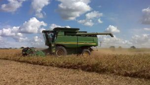 Agro