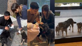 Mica Lapegüe mostró la bienvenida de sus mascotas a su hija