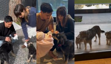 Mica Lapegüe mostró la bienvenida de sus mascotas a su hija
