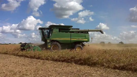 Niveles récord de producción agrícola: “Las proyecciones muestran que podemos estar superando los USD 41.000 millones”