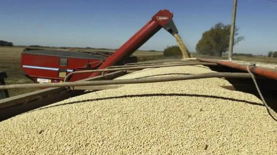 Denuncian que la agricultura argentina "está bajo ataque" por un estudio que asevera que las personas tiene 86% de glifosato en sangre