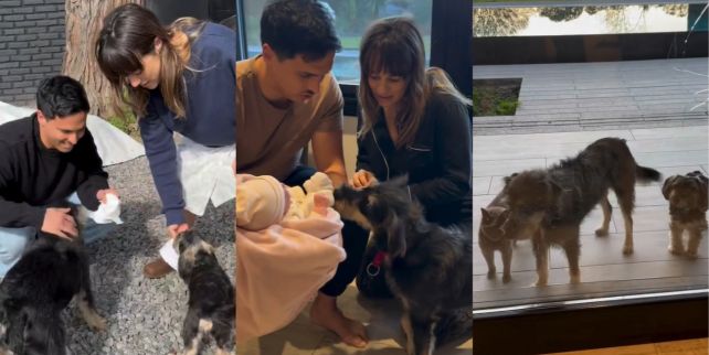 Mica Lapegüe mostró la bienvenida de sus mascotas a su hija