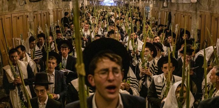 Hombres judíos ortodoxos rezan frente a la puerta de Bab al-Qattanin (de los Mercaderes de Algodón) del recinto de Al-Aqsa durante las oraciones matutinas de Sucot —la Fiesta de las Cabañas— en la Ciudad Vieja de Jerusalén. Cada año, miles de judíos peregrinan a Jerusalén durante la festividad de la cosecha de Sucot, que dura una semana y conmemora, según la tradición judía, el peregrinaje de los israelitas por el desierto tras el éxodo bíblico.