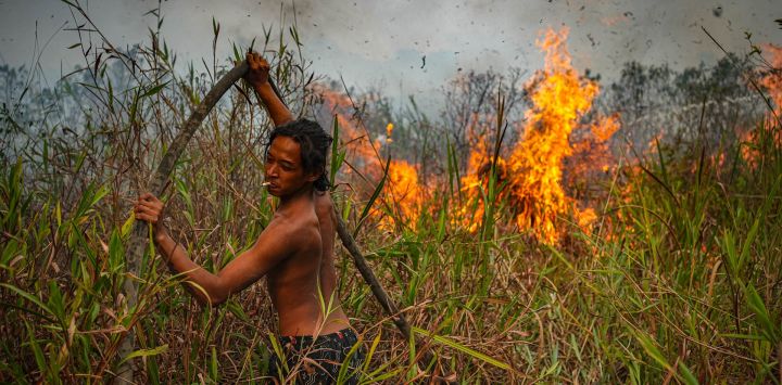 Un residente local arrastra una manguera contra incendios a través de hierba alta y turba densa mientras ayuda a combatir un incendio forestal descontrolado en Ogan Ilir, provincia de Sumatra Meridional, Indonesia. La escasa visibilidad causada por los persistentes incendios forestales ha obstaculizado tanto el tráfico aéreo comercial como las operaciones aéreas de extinción de incendios en toda la provincia.