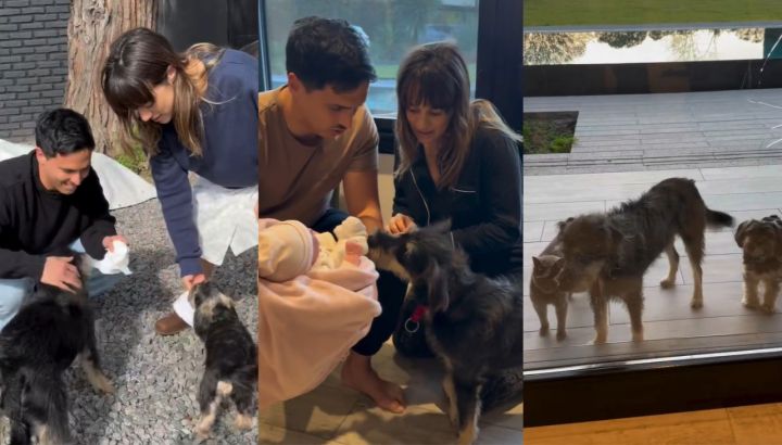Mica Lapegüe mostró cómo reaccionaron sus mascotas al conocer a su bebé: "Ellos la van a cuidar como nadie"