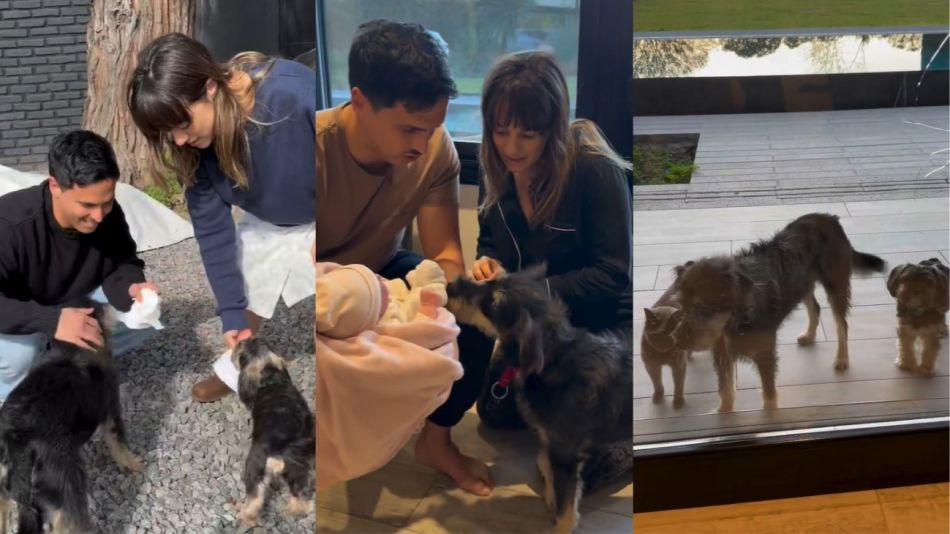 Mica Lapegüe mostró la bienvenida de sus mascotas a su hija