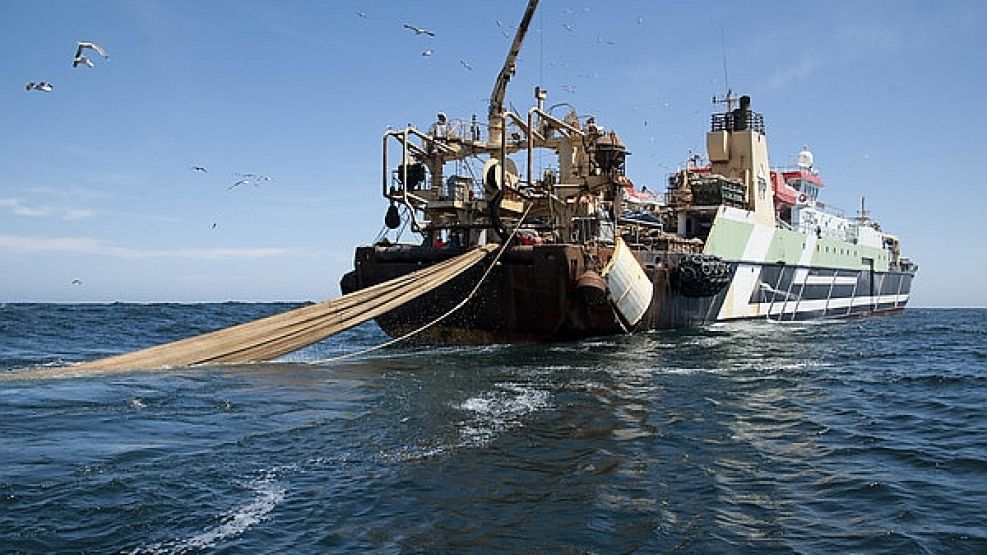 barcos pesqueros