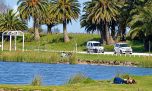 Una laguna bonaerense busca renacer: sembraron 30.000 pejerreyes en La Rosita