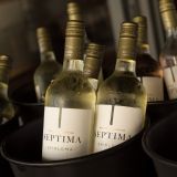 Bodega Séptima