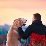 Vetify, salud para mascotas