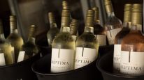 Bodega Séptima