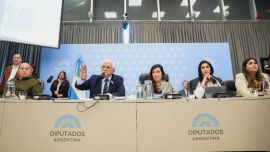 Insultos, forcejeos y un corte abrupto: así naufragó el primer debate de la Ley Malvinas en Diputados