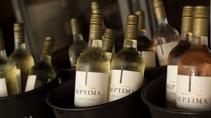 Bodega Séptima