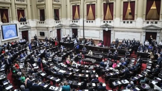 RDI: avanza un pedido de sesión en la Cámara de Diputados para tratar el DNU 70/2023 tras el fallo de la Corte Suprema