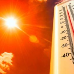 En América Latina, el panorama se torna igualmente sombrío: se estima que Brasil podría sufrir hasta 13.300 fallecimientos adicionales por estrés térmico
