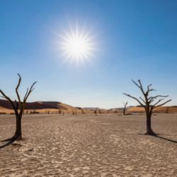 Los especialistas detallan que el sistema climático actual experimenta un preocupante adelanto temporal, registrando un 44% más de días con calor severo que en un año convencional