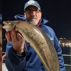 Con la primavera ya instalada, aumentan las opciones para los pescadores y se suman nuevas especies al escenario del pique nacional.