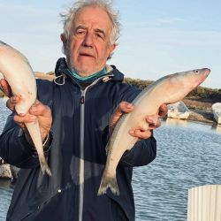Con la primavera ya instalada, aumentan las opciones para los pescadores y se suman nuevas especies al escenario del pique nacional.