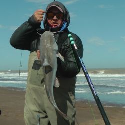 Con la primavera ya instalada, aumentan las opciones para los pescadores y se suman nuevas especies al escenario del pique nacional.