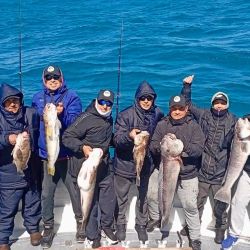 Con la primavera ya instalada, aumentan las opciones para los pescadores y se suman nuevas especies al escenario del pique nacional.