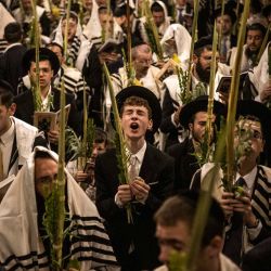 Hombres judíos ortodoxos rezan frente a la puerta de Bab al-Qattanin (de los Mercaderes de Algodón) del recinto de Al-Aqsa durante las oraciones matutinas de Sucot —la Fiesta de las Cabañas— en la Ciudad Vieja de Jerusalén. Cada año, miles de judíos peregrinan a Jerusalén durante la festividad de la cosecha de Sucot, que dura una semana y conmemora, según la tradición judía, el peregrinaje de los israelitas por el desierto tras el éxodo bíblico. | Foto:JOHN WESSELS / AFP