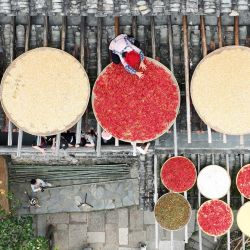 Vista aérea tomada con un dron de Cao Fudi secando cultivos en el área escénica de Huangling, en el distrito de Wuyuan, en la provincia de Jiangxi, en el este de China. Cao Fudi, una aldeana de 64 años de edad, ahora trabaja en el área escénica de Huangling haciendo una demostración de Shaiqiu, una práctica tradicional de secar al sol los cultivos cosechados en otoño. | Foto:Xinhua/Wan Xiang