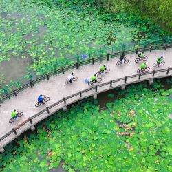 Vista aérea tomada con un dron de entusiastas circulando en bicicleta en un parque de humedales en la Zona de Desarrollo Económico y Tecnológico de Nantong, en la provincia de Jiangsu, en el este de China. En los últimos años, el Gobierno local de la Zona de Desarrollo Económico y Tecnológico de Nantong ha realizado esfuerzos en la gestión del entorno ribereño a lo largo del río Yangtze, construyendo un parque de humedales, una zona de turismo ecológico frente al río y creando espacios de ocio y ecológicos para los ciudadanos. | Foto:Xinhua/Qian Xianhua