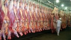 Carne vacuna