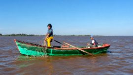 La discusión no se limita únicamente al control de los pescadores. El eje planteado por las autoridades es proteger el recurso pesquero y las especies autóctonas del río Uruguay, especialmente frente a prácticas que no respeten la normativa vigente.