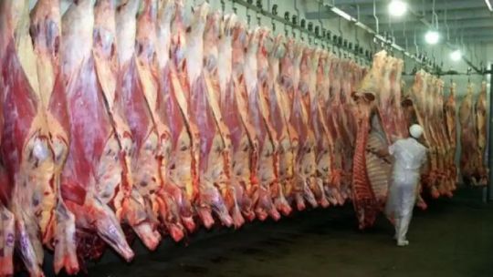 Japón abrió las exportaciones de carne vacuna para Argentina y aseguran que, “es el tercer importador de carne del mundo”