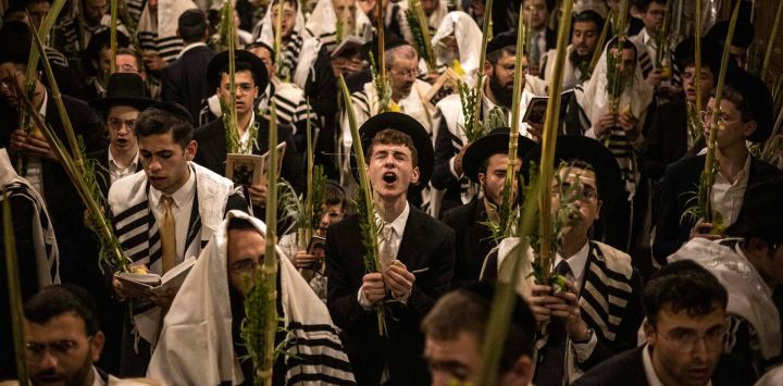 Hombres judíos ortodoxos rezan frente a la puerta de Bab al-Qattanin (de los Mercaderes de Algodón) del recinto de Al-Aqsa durante las oraciones matutinas de Sucot —la Fiesta de las Cabañas— en la Ciudad Vieja de Jerusalén. Cada año, miles de judíos peregrinan a Jerusalén durante la festividad de la cosecha de Sucot, que dura una semana y conmemora, según la tradición judía, el peregrinaje de los israelitas por el desierto tras el éxodo bíblico.