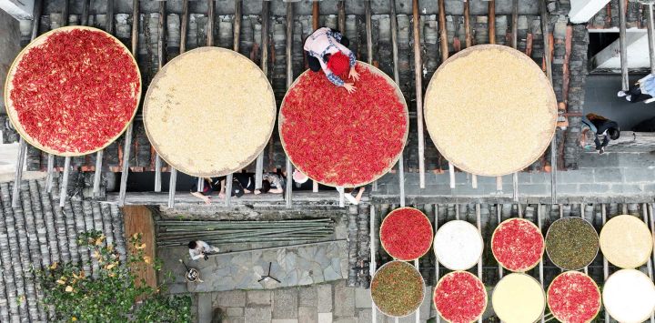 Vista aérea tomada con un dron de Cao Fudi secando cultivos en el área escénica de Huangling, en el distrito de Wuyuan, en la provincia de Jiangxi, en el este de China. Cao Fudi, una aldeana de 64 años de edad, ahora trabaja en el área escénica de Huangling haciendo una demostración de Shaiqiu, una práctica tradicional de secar al sol los cultivos cosechados en otoño.