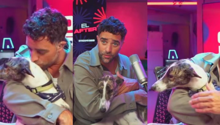 Diego Poggi presentó a Abrojo, un galgo rescatado que se robó su corazón: "Siempre te voy a cuidar"