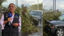 La reportera Alma de la Rosa Flores y el camarógrafo Cristo Morales fueron atropellados en vivo