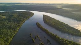 0210_paraná