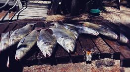 0210_pesca 