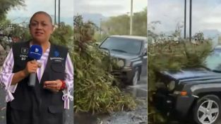 La reportera Alma de la Rosa Flores y el camarógrafo Cristo Morales fueron atropellados en vivo