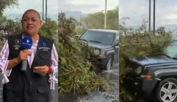 La reportera Alma de la Rosa Flores y el camarógrafo Cristo Morales fueron atropellados en vivo