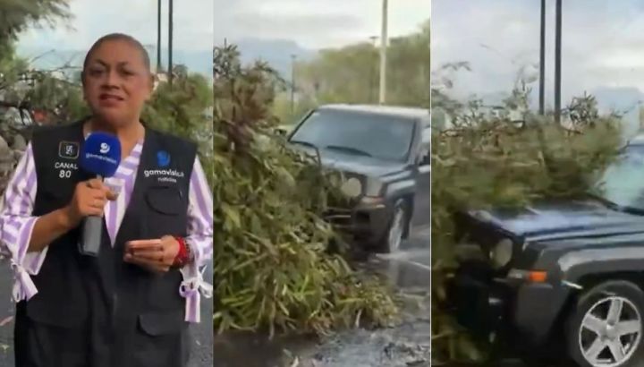 Atropellan a reportera y camarógrafo durante una transmisión en vivo en México: el impactante video