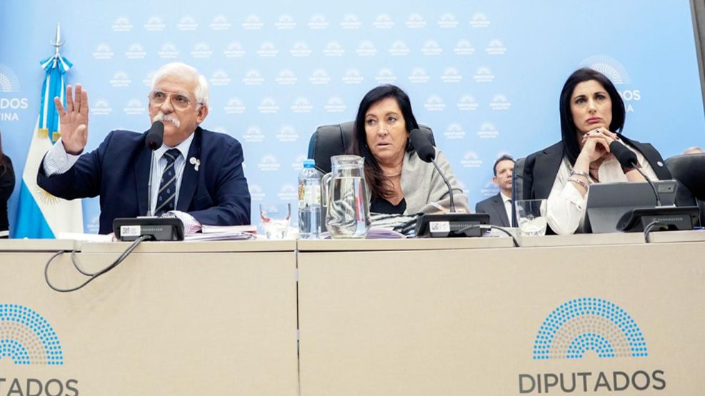 031026_juliana_santillan_diputados_g